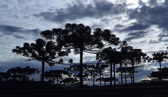 Araucária, região metropolitana de Curitiba